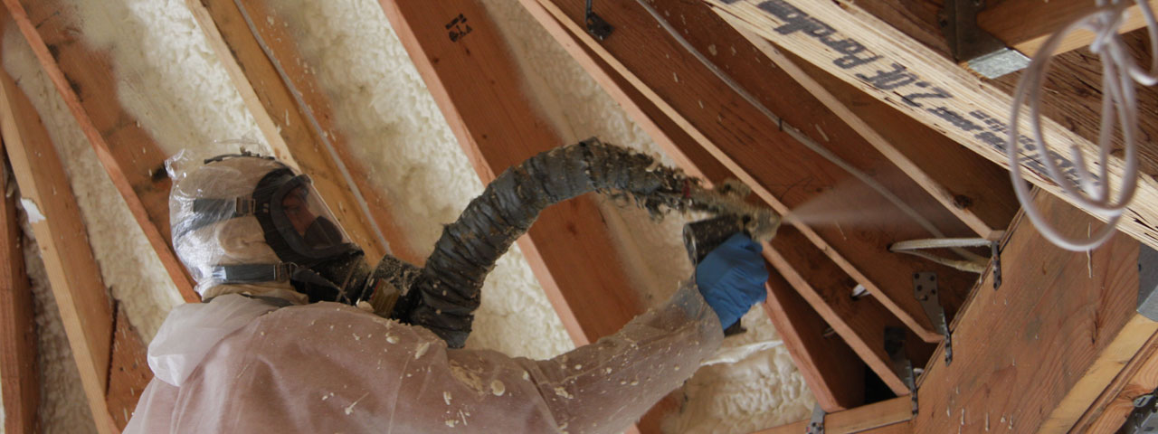 Grand Rapids Michigan Attic Insulation Spray Foam